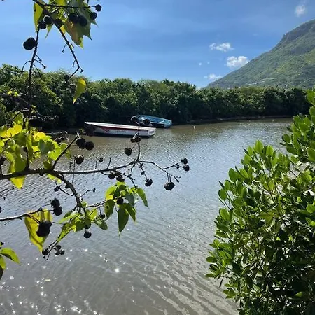 Calme Et Bien-Etre « Villa Sous Le Manguier » Rivière Noire Extérieur photo