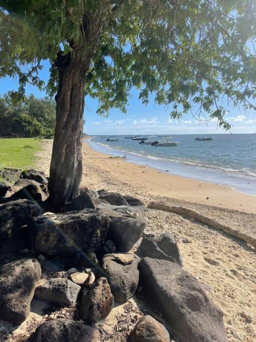 Calme Et Bien-etre « villa Sous Le Manguier » Hébergement de vacances Rivière Noire